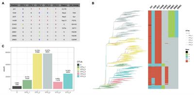 Global Geographic and Temporal Analysis of SARS-CoV-2 Haplotypes Normalized by COVID-19 Cases During the Pandemic